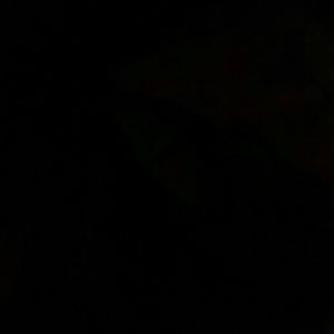 Meet your Posher, Desiree