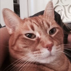 Meet your Posher, Kassie