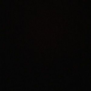 Meet your Posher, Bailey