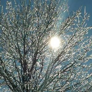 Meet your Posher, Tim