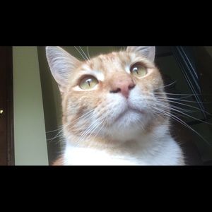 Meet your Posher, Riley