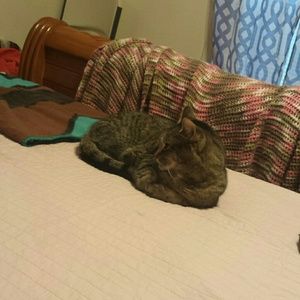 Meet your Posher, Gina