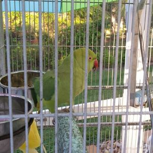 Meet your Posher, Diana