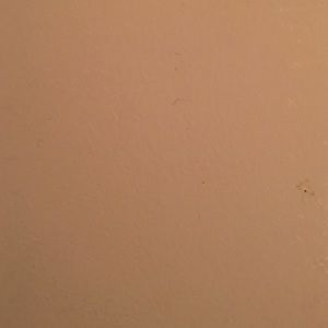 Meet your Posher, Jainaba