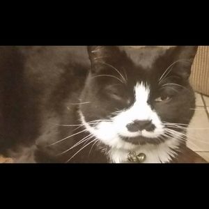 Meet your Posher, Bobbie