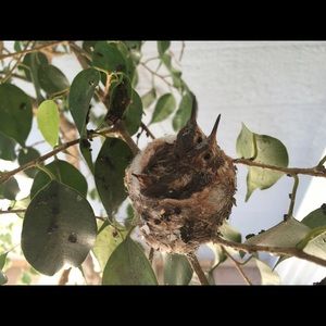 Meet your Posher, Maureen