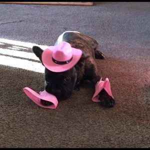 Meet your Posher, Toni