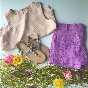 Loft Ann Taylor Shorts