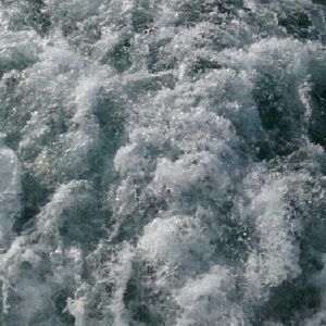 Meet your Posher, Selena