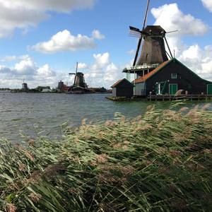 Meet your Posher, Pagjiibuu