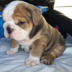 Meet your Posher, Alejandra