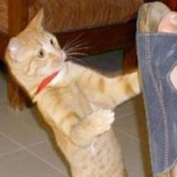 Meet your Posher, Valerie