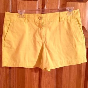 Loft Dress Shorts