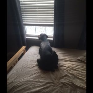 Meet your Posher, Michael