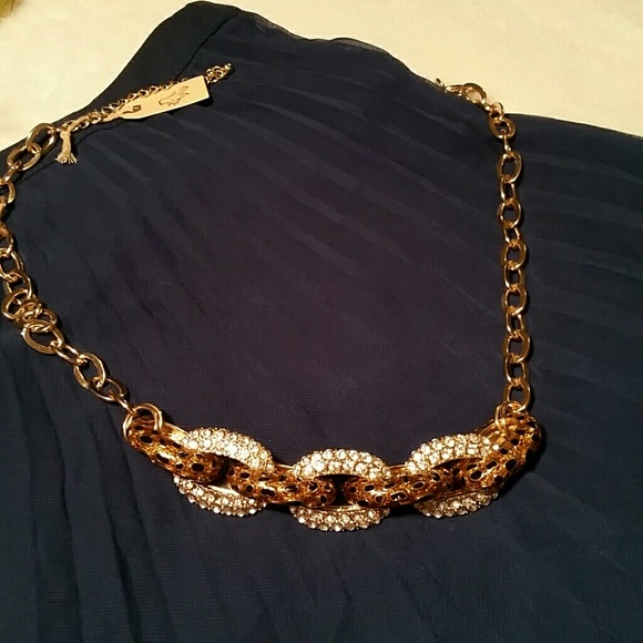 Beautiful Chain Link Necklace - Picture 2 of 4
