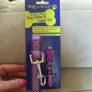 SALE $5 New dog collar and matching leash