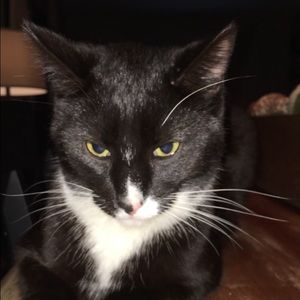 Meet your Posher, Rylie