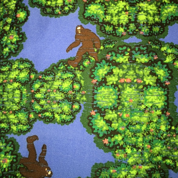 LuLaRoe T/C RARE Bigfoot leggings.  AWESOME!