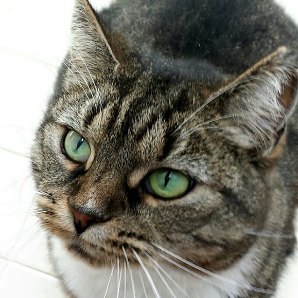 Meet your Posher, Carly - Picture 4 of 4