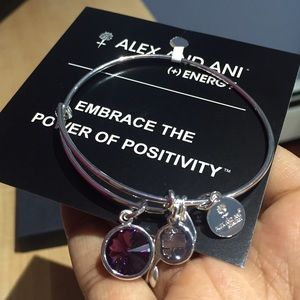 Alex and Ani February Birthstone Bangle