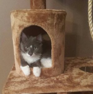 Meet your Posher, Shawn