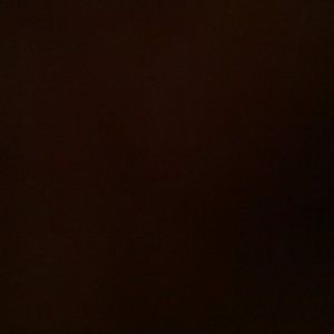 Meet your Posher, Dillon