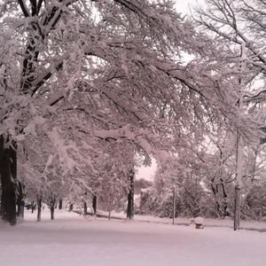 Meet your Posher, Judith