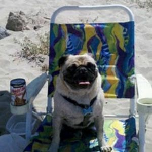 Meet your Posher, Katheryne