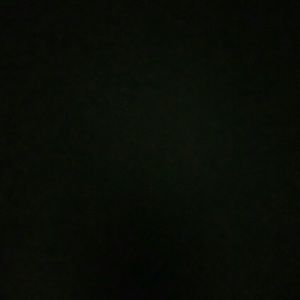 Meet your Posher, Cora