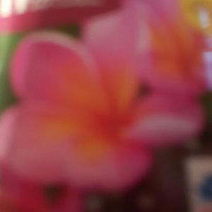 Meet your Posher, Debra