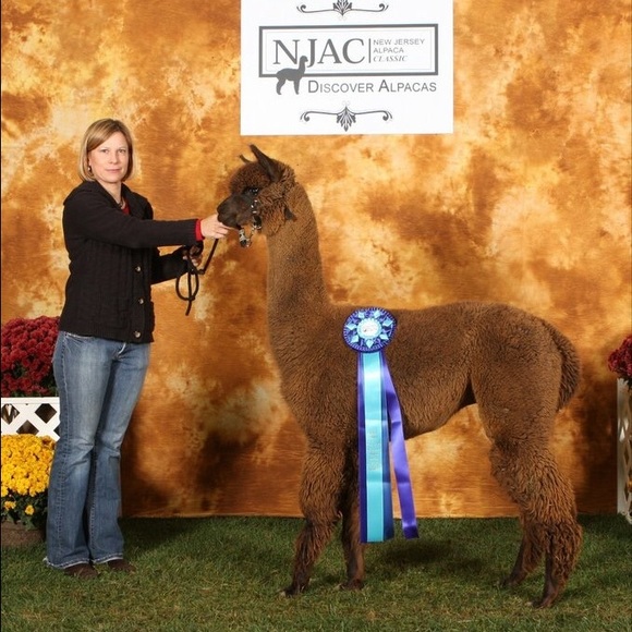 Meet your Posher, Bonnie - Picture 3 of 4