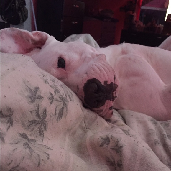 Meet your Posher, Sarita - Picture 1 of 1