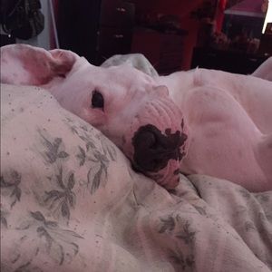 Meet your Posher, Sarita