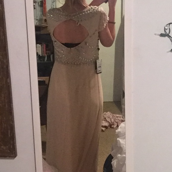 NWT Adrianna Papell Prom Dress - Picture 3 of 4