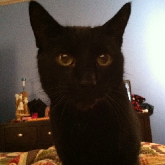 Meet your Posher, Christina - Picture 1 of 1