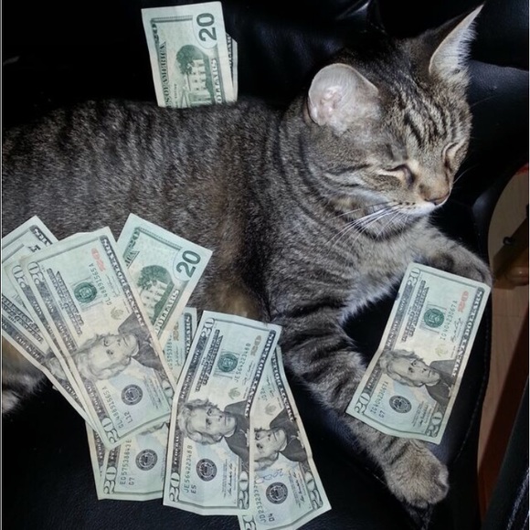 Closet Rules - Picture 3 of 4