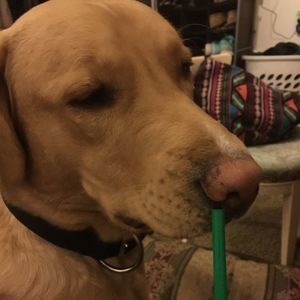 Meet your Posher, Briana