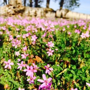 Meet your Posher, Karley