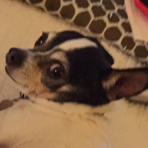 Meet your Posher, Mindy