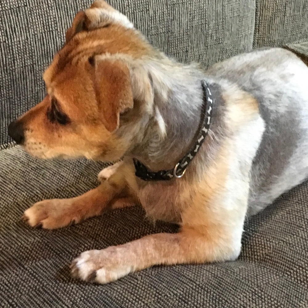 Meet your Posher, Christine