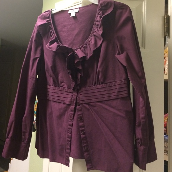 Ann Taylor Petite long sleeve blouse