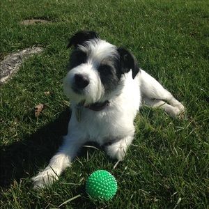 Meet your Posher, Mallory