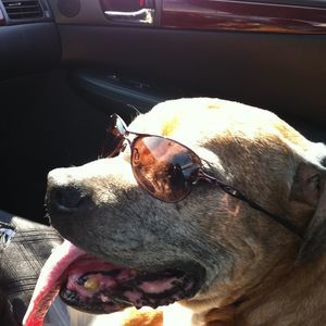 Meet your Posher, Kathy