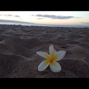 Meet your Posher, Desiray