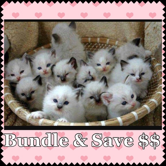 Save 20% Off 3+ Items! Bundle Bundle Bundle!! - image 1