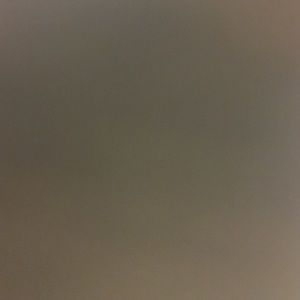 Meet your Posher, Isabelle