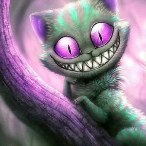 Meet your Posher, Kelley