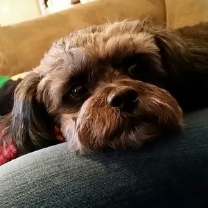 Meet your Posher, Crystal