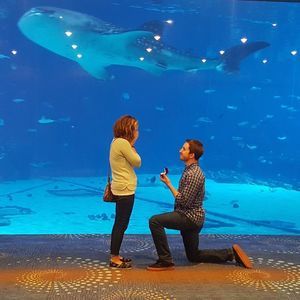 Meet your Posher, Kevin