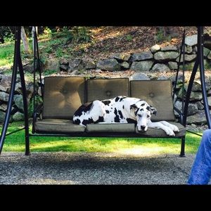 Meet your Posher, Kathy